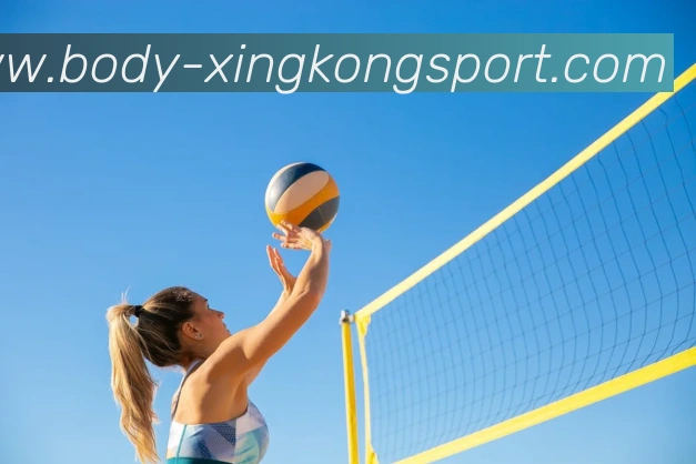 多媒体互动体验