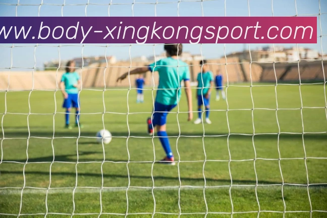 星空体育APP 高清赛事图